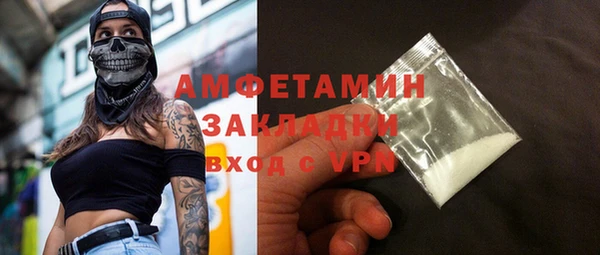 шишки Абаза
