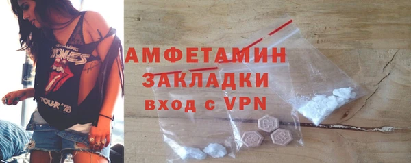 шишки Абаза