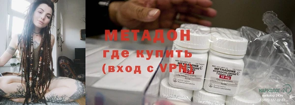 шишки Абаза