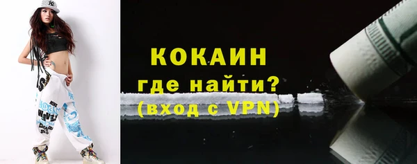 шишки Абаза
