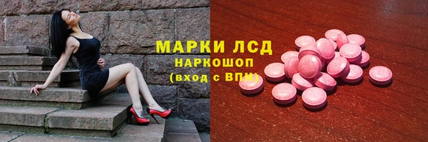 шишки Абаза