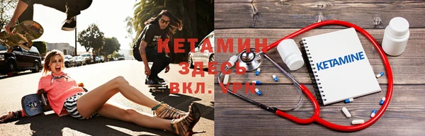 шишки Абаза