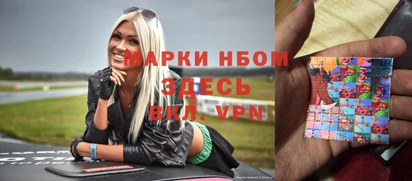 шишки Абаза